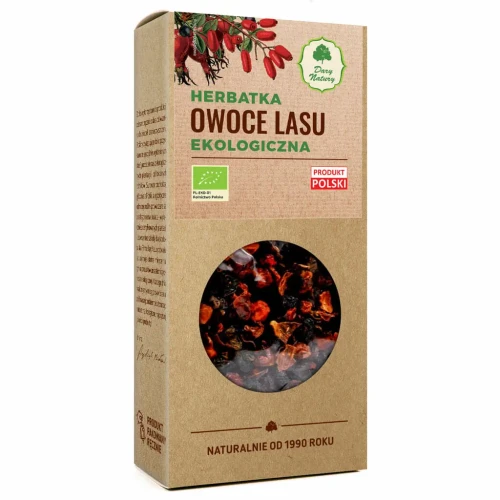 dn owoce lasu.webp