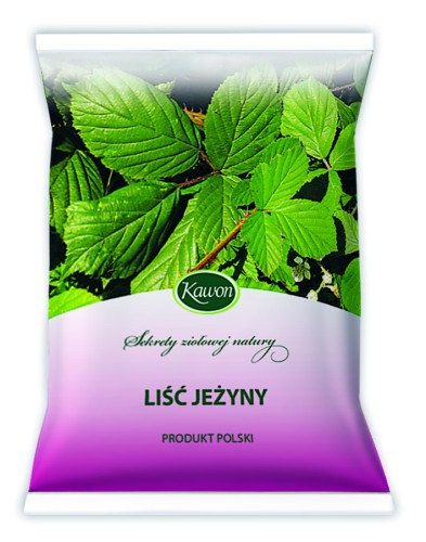 liść jeżyny torebka.jpg