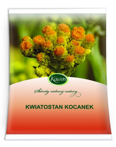 Kwiatostan kocanki.jpg
