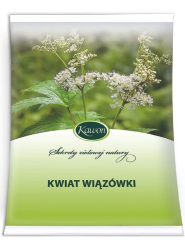 Kwiat Wiązówki.jpg