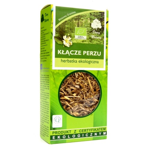 kłącze perzu.JPG