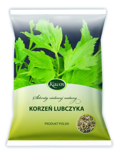 korzen lubczyka.jpg