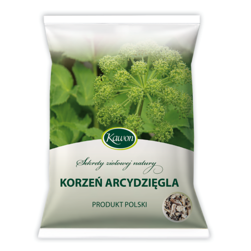 500px_korzeń-arcydzięgla.png