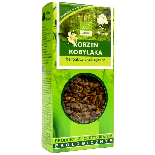 korzeń kobylaka.JPG