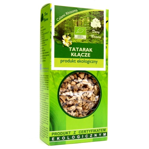 tatarak kłącze.JPG